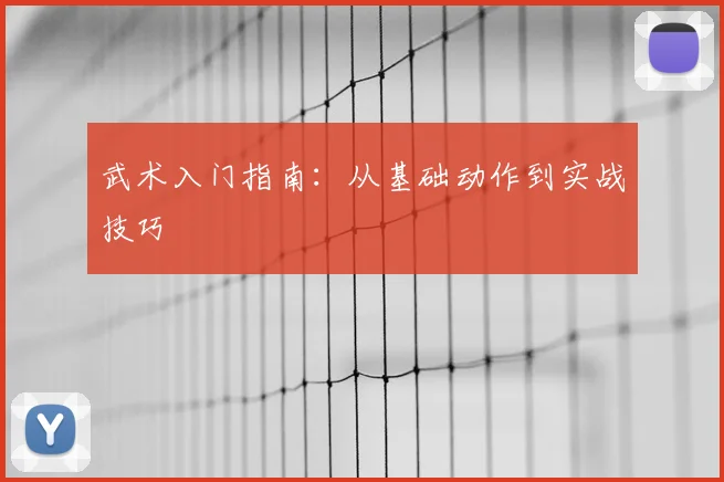 武术入门指南：从基础动作到实战技巧